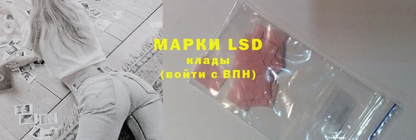 хмурый Аркадак