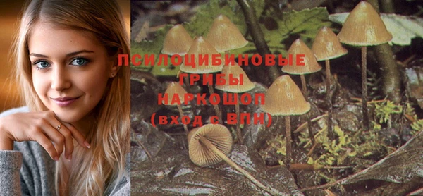 бошки Армянск