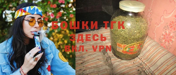 хмурый Аркадак