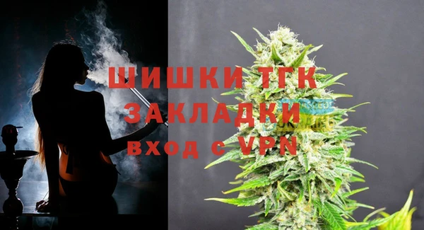 хмурый Аркадак