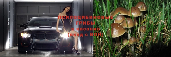 бошки Армянск