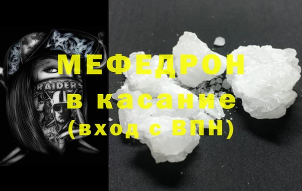 хмурый Аркадак